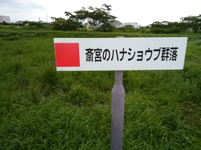 e0099212_20501817.jpg