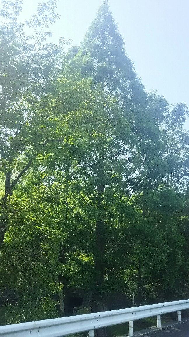 f0191517_17103517.jpg