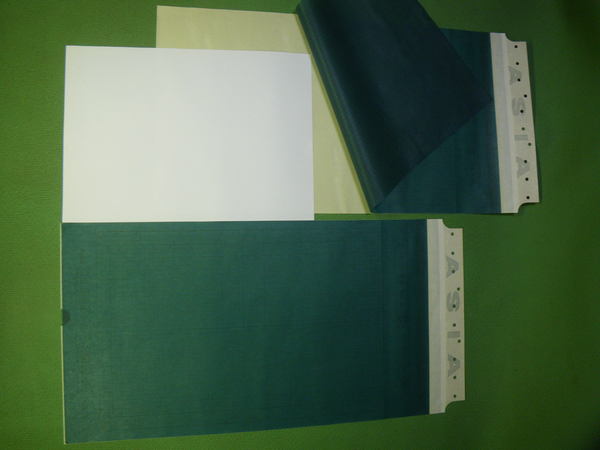b0096418_21405137.jpg
