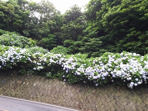 b0363818_08524307.jpg