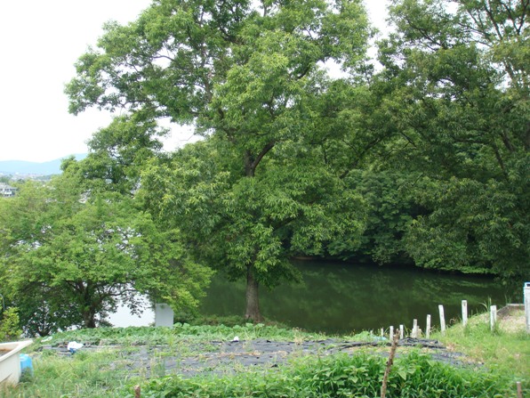 b0068423_22271395.jpg
