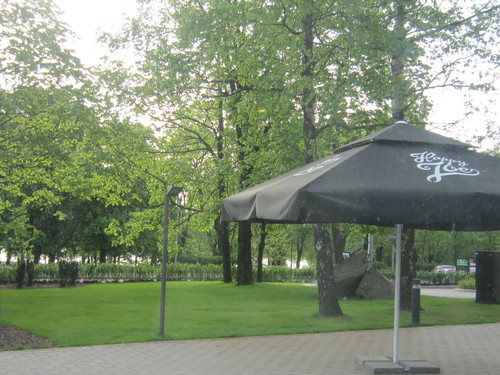 d0162225_11133971.jpg