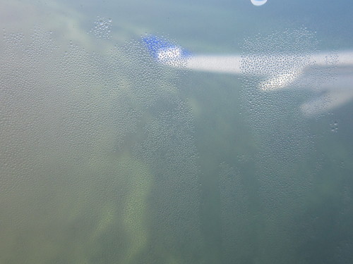 d0162225_1430824.jpg