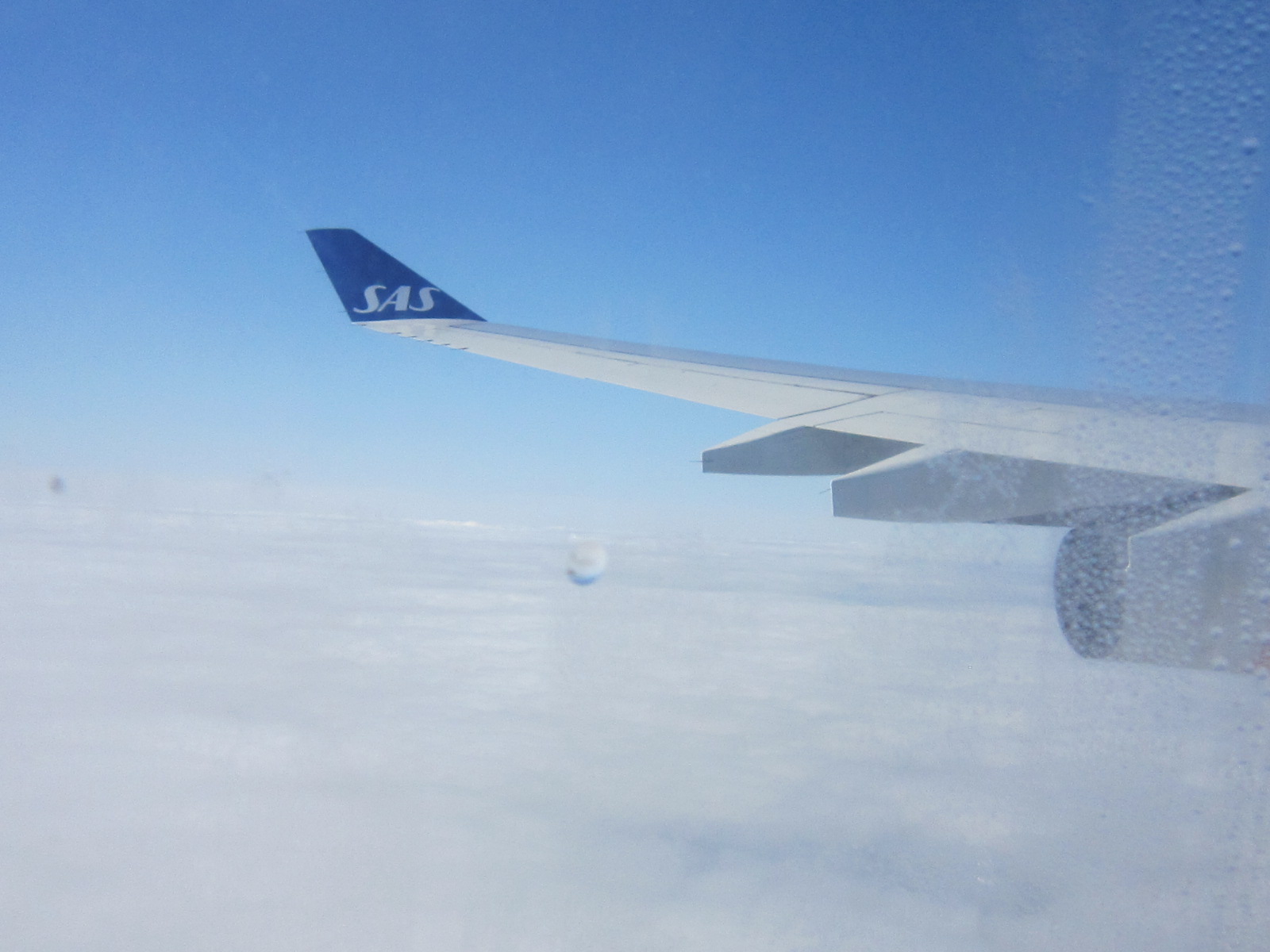 d0162225_1431429.jpg
