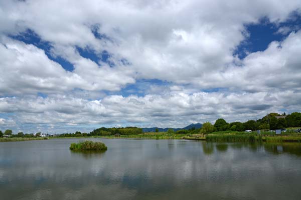 f0147025_17102932.jpg