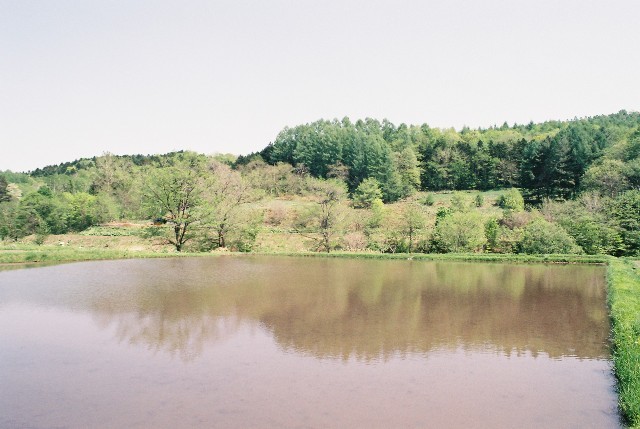 f0362725_08261637.jpg