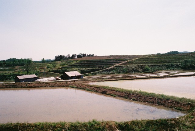 f0362725_08271237.jpg