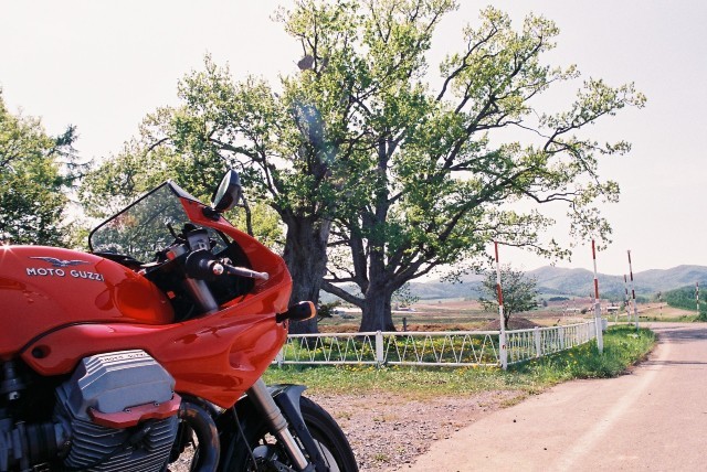 f0362725_08280707.jpg