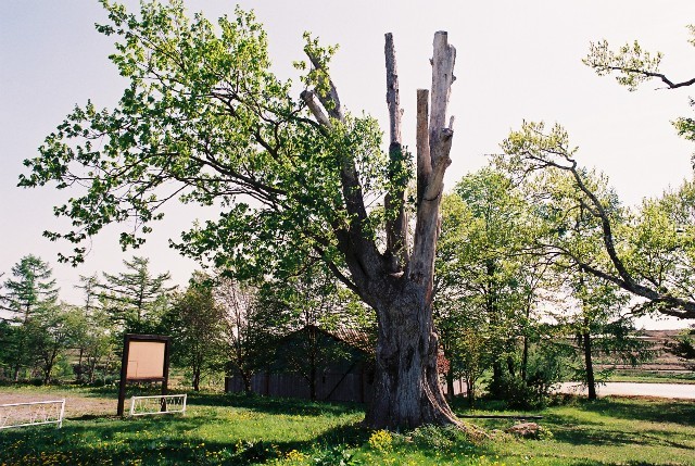 f0362725_08291686.jpg