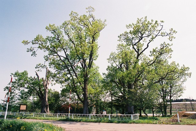f0362725_08293716.jpg