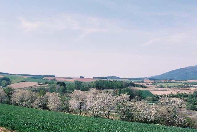 f0362725_08310140.jpg