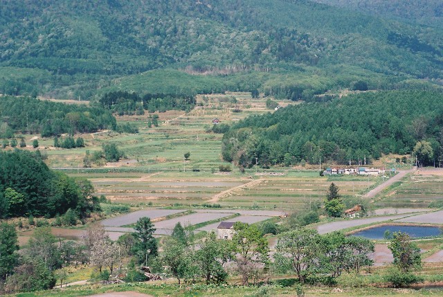 f0362725_08312981.jpg