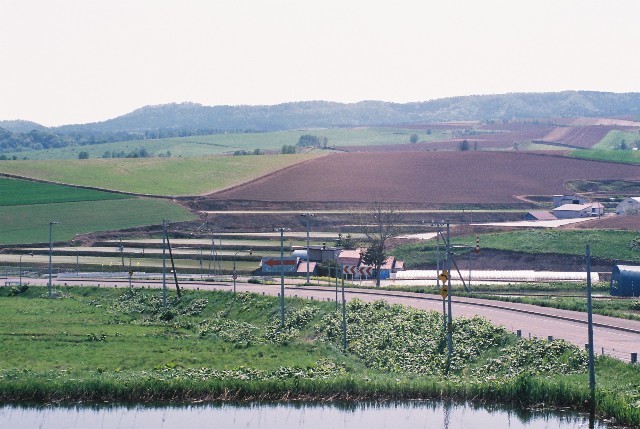 f0362725_08330805.jpg