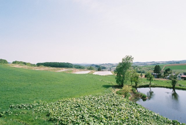 f0362725_08332900.jpg