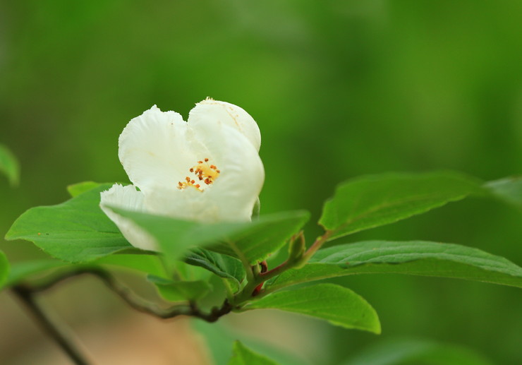 c0104227_234173.jpg
