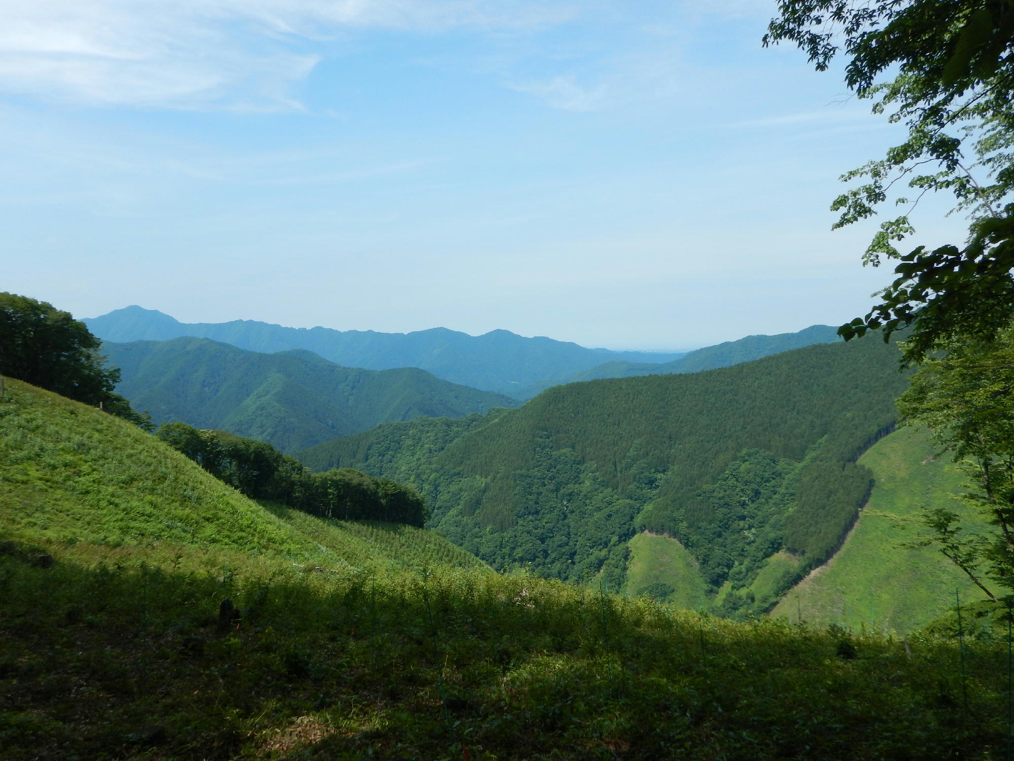 d0107938_9375436.jpg