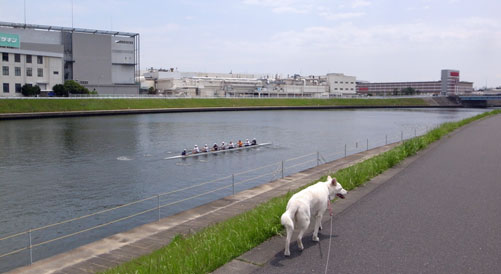 a0117039_21253615.jpg
