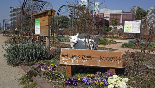 a0117039_23254080.jpg