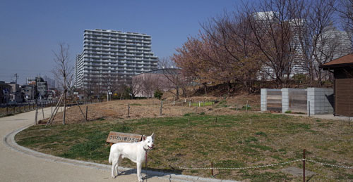a0117039_23262215.jpg