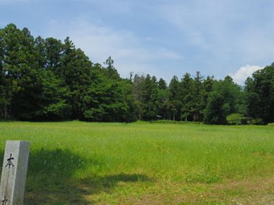 b0220251_16531395.jpg