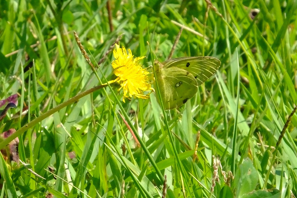 b0236251_11473562.jpg