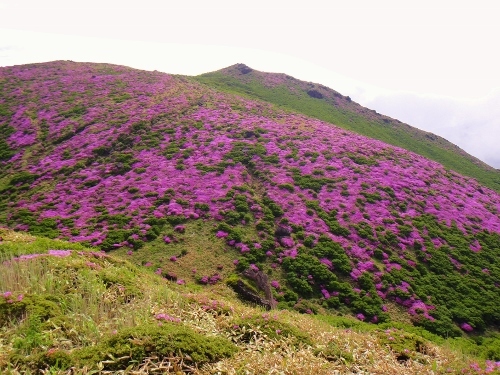 c0179351_09414970.jpg