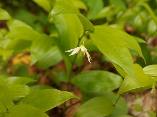 e0004756_20554256.jpg