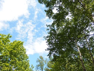 e0004756_20585764.jpg