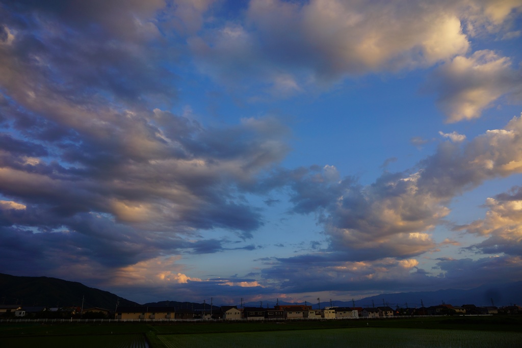e0223456_1051660.jpg