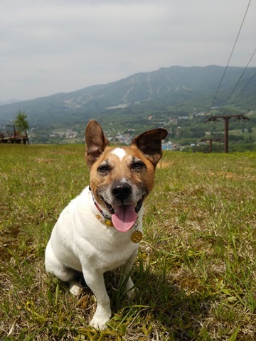 f0100871_12303339.jpg