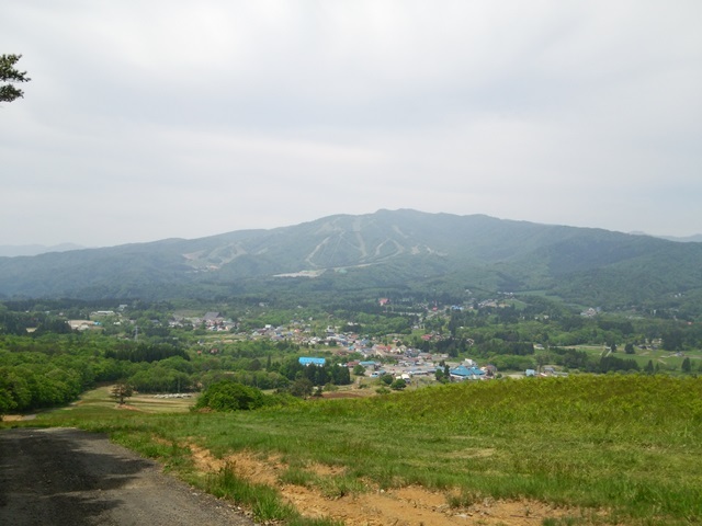 f0100871_12381867.jpg