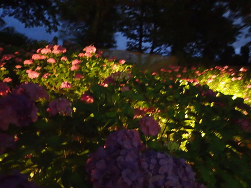 c0286574_06573715.jpg