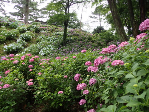 c0286574_06583046.jpg