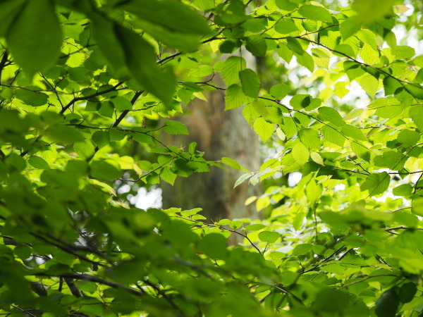 e0264374_13403522.jpg