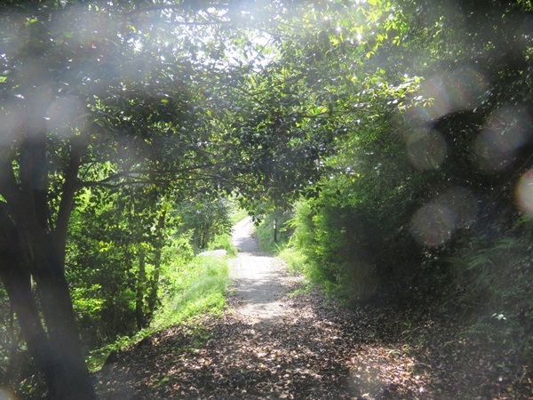 e0264374_13442962.jpg