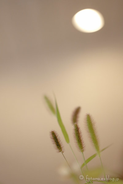 c0268775_06413566.jpg