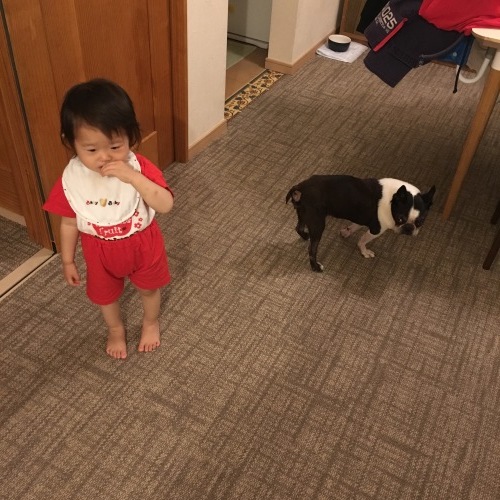 d0041575_20253618.jpeg