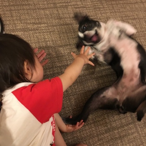 d0041575_20274740.jpeg