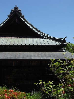 d0124878_73622.jpg