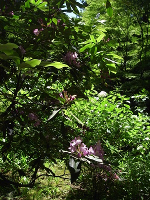 d0124878_7375391.jpg