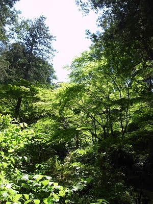 d0124878_738566.jpg