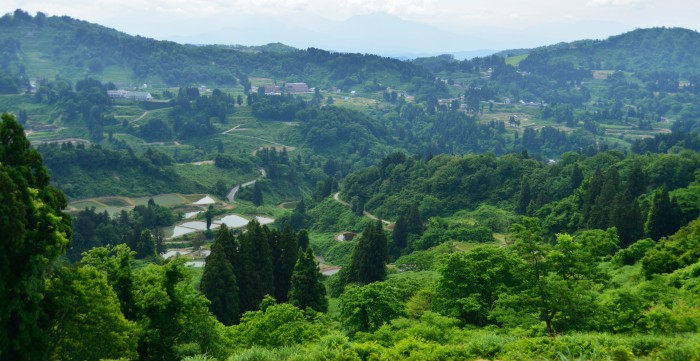 d0341880_7304820.jpg