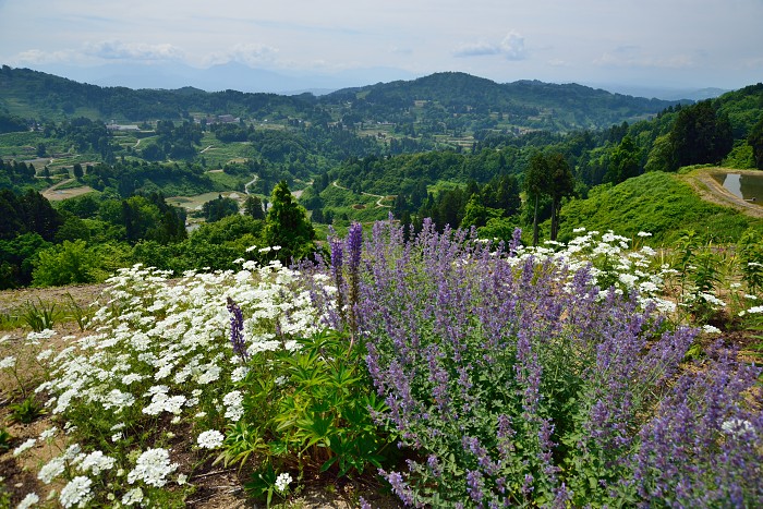 d0341880_734558.jpg