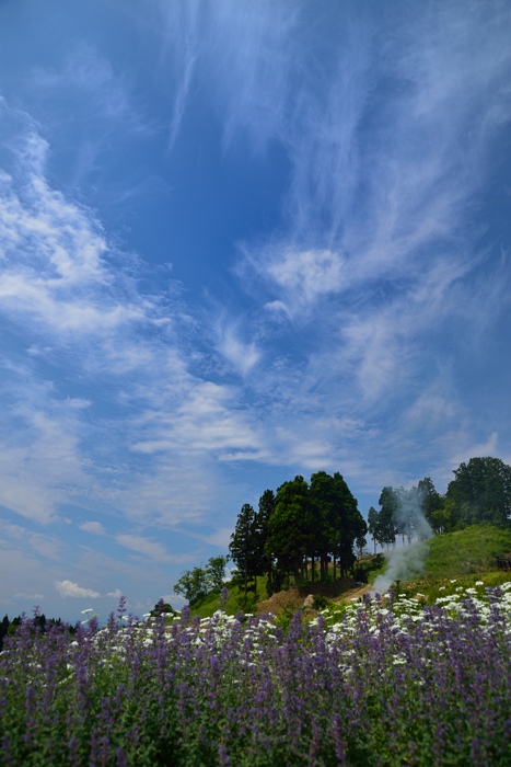 d0341880_735826.jpg
