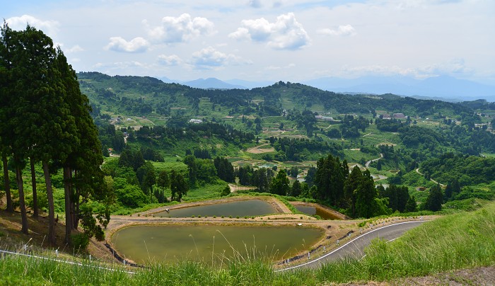 d0341880_7382880.jpg