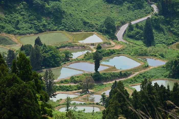 d0341880_739171.jpg