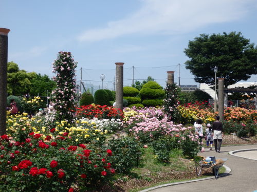 b0334084_21423171.jpg
