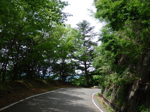 b0334084_21482122.jpg