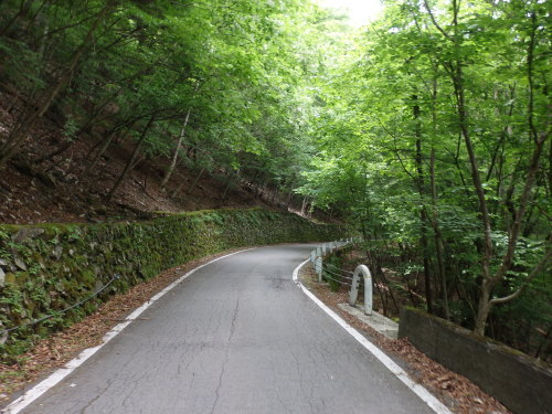 b0334084_21533230.jpg