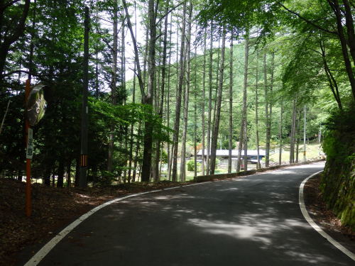 b0334084_21541475.jpg